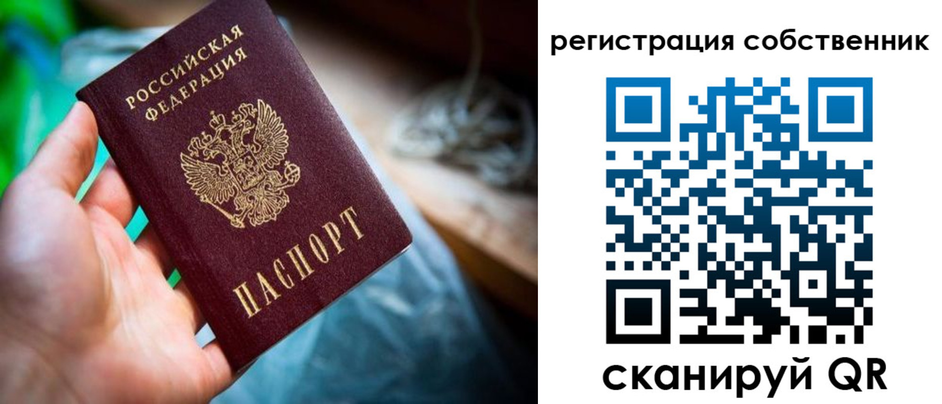прописка гарантия в Гвардейске